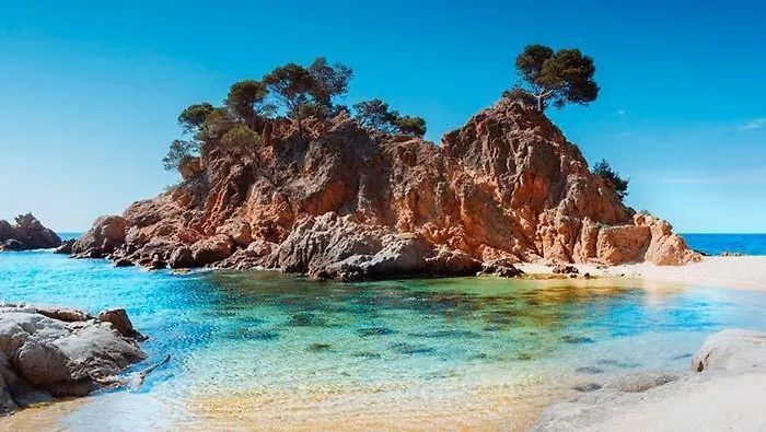 Habitat Barcelona Apartman Platja d'Aro