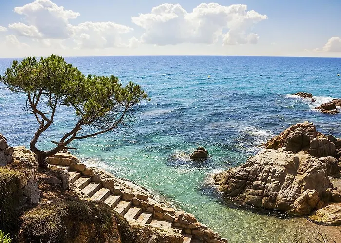 Habitat Barcelona Apartamento *